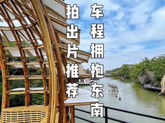 -南沙水鸟世界生态园