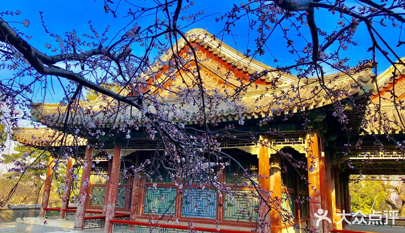 桃花环绕的景福阁