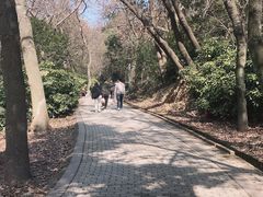 -虞山风景区