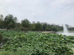 -前关湿地公园