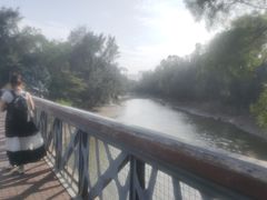 -五缘湾湿地公园