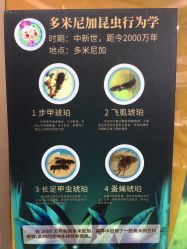 -菜百首饰店(总店)