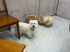 -品鲜村农家菜·阳澄湖大闸蟹(总店)