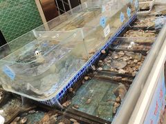 -天盛海鲜烧烤大排档·本地小海鲜·牟平腿穗子(幸福店)