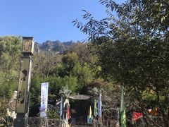 -王顺山国家森林公园