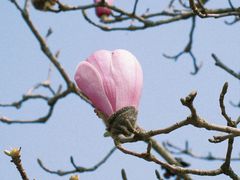 -宜兴龙背山森林公园