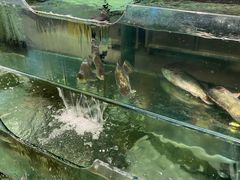 水产区-胖姐渔村(中源大道店)