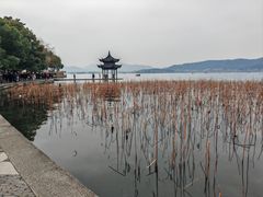 -西湖游船