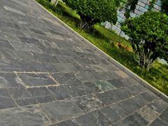 -蓬莱欧乐堡梦幻世界