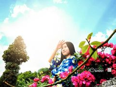 -太阳湾风景区