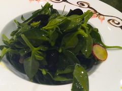 穿心莲-品味居·首店·大连鲜活海鲜大连菜(东港店)