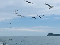 -海驴岛(荣成市)