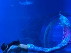 -太平洋海底世界