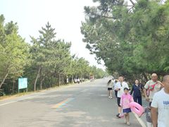 -日照海滨国家森林公园