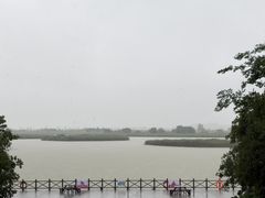 -盐城丹顶鹤湿地生态旅游区