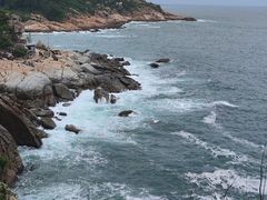 -广东惠东海龟国家级自然保护区