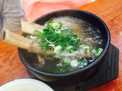 -莲洞本家