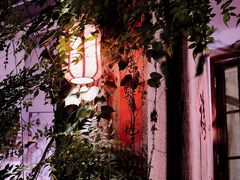 -馬蘭花開(车站大道店)