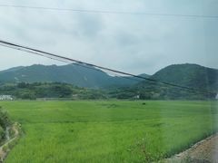 -宁乡沩山龙泉漂流
