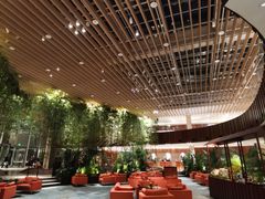 -北京望京凯悦酒店The Lounge大堂酒廊