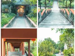 -广州神农草堂中医药博物馆