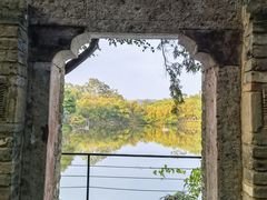 -老木棉·匠园