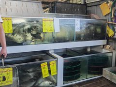 -水上人家河鲜