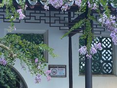 -上海醉白池公园