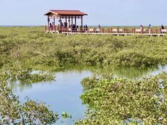 -北海金海湾红树林生态旅游区