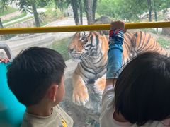-栾川竹海野生动物园
