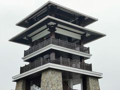 -大湾区中央湿地公园