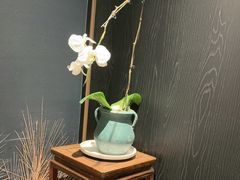 -浩运·海鲜青岛菜·海胆水饺(石老人店)