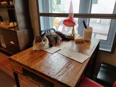 靠窗位-有肉食·虎九闽菜(798艺术区店)