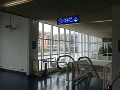 -信德中旅船务管理有限公司