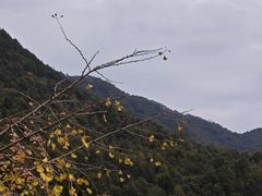 -武汉姚家山旅游景区
