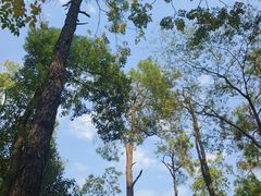 -盘龙城国家考古遗址公园