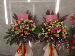 -芳朵美容养生SPA