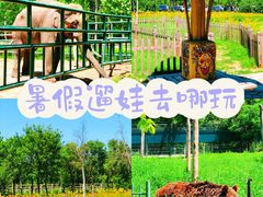 -秦皇岛野生动物园
