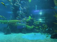 -常州海昌海洋探索馆