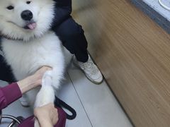-瑞派宠物医院(锦江店)