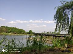 -中国天府农业博览园