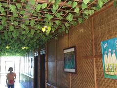 -崖口红树林海鲜餐厅
