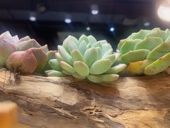 -素虎料理(前门店)