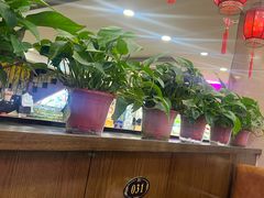 -瑞杰烧烤店·24小时营业(山东路店)