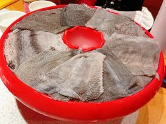 -大龙燚火锅(天钥桥路店)