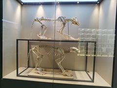 -广东中医药博物馆