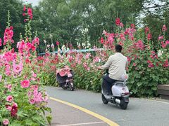 -定鼎门遗址博物馆