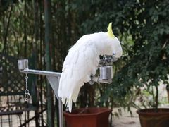 -云南野生动物园