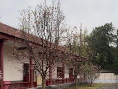 -香山公园