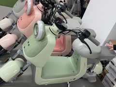 -爱玛电动车(古棕路店)